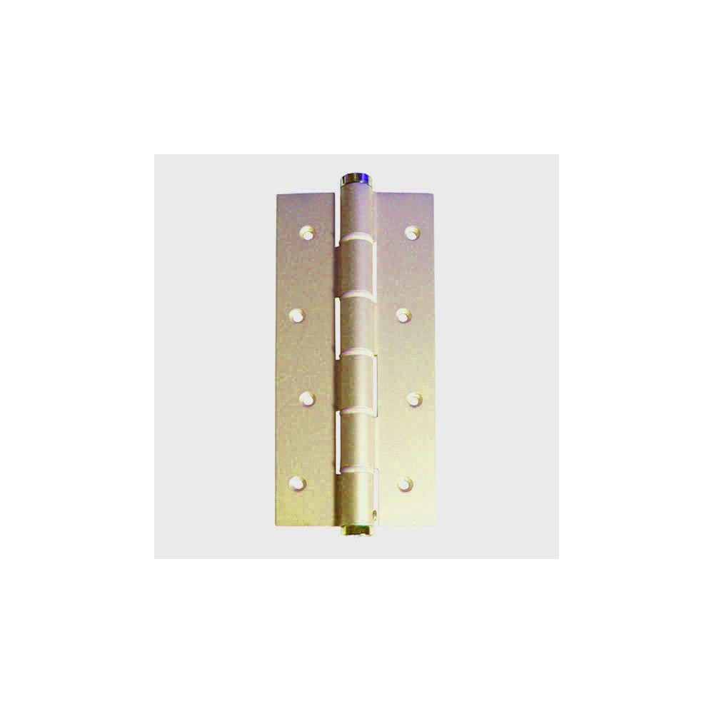bisagra-simple-accion-100x100 ORO copia.jpg