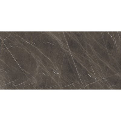 Calacatta Gold - Silk.jpg