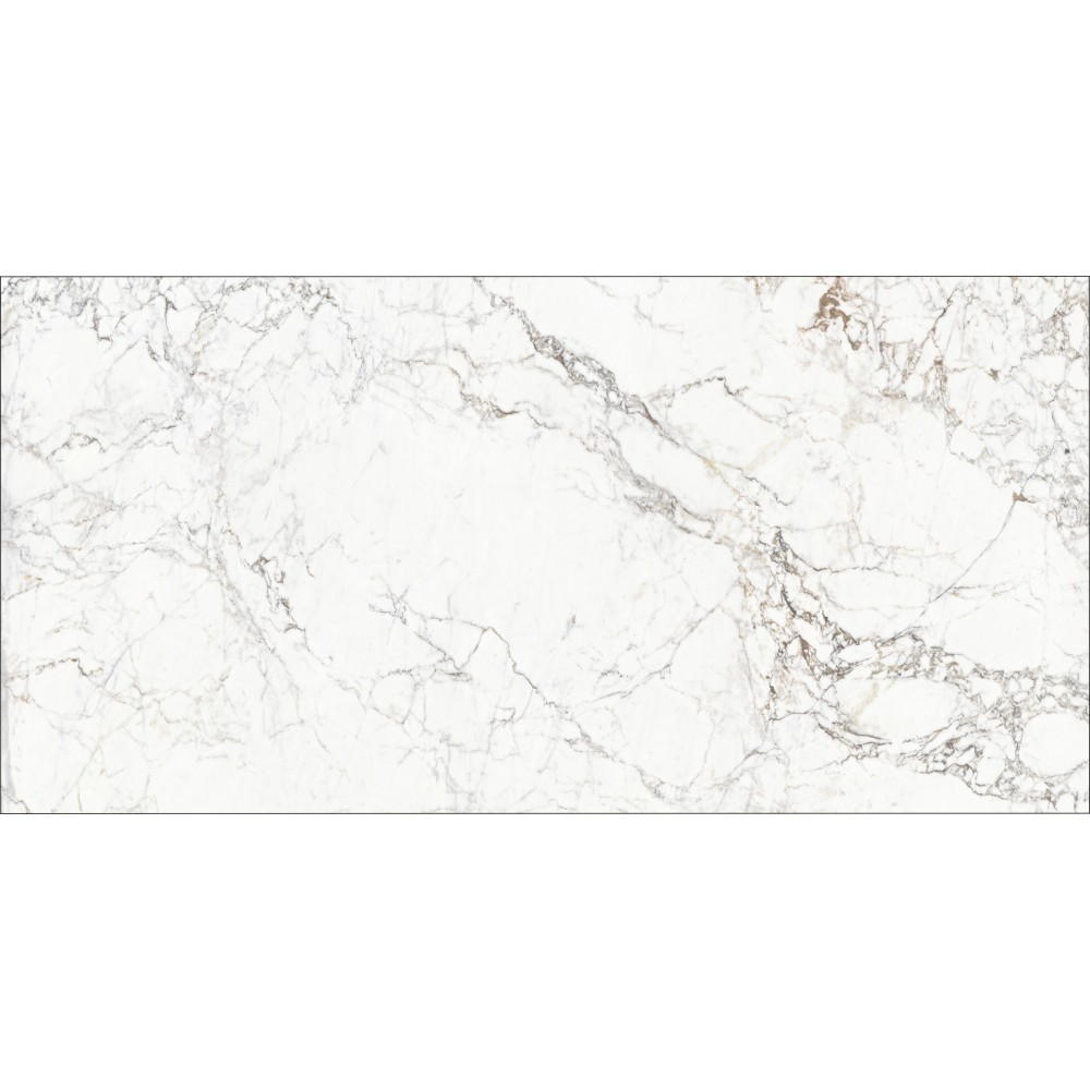 Calacatta Gold - Silk.jpg