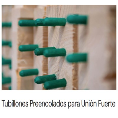 PRECERCO ABETO 2 HOJAS